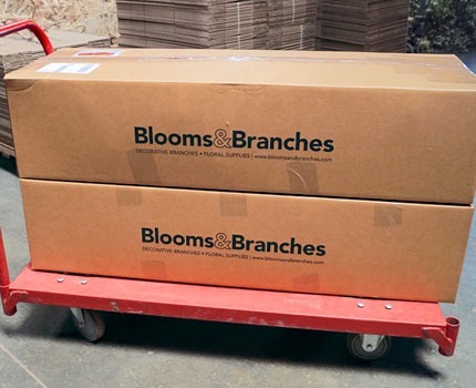 Cases of branches, shipping included