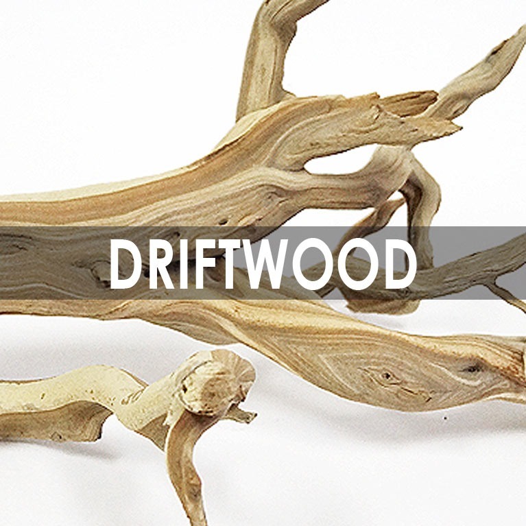 California Driftwood-Ghostwood