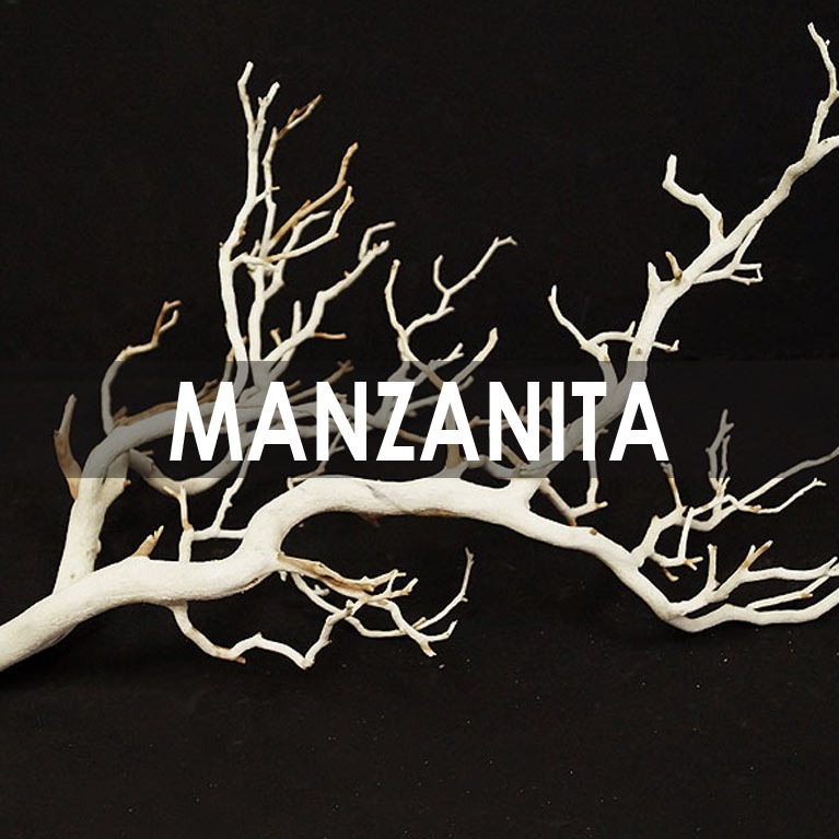 Manzanita branches