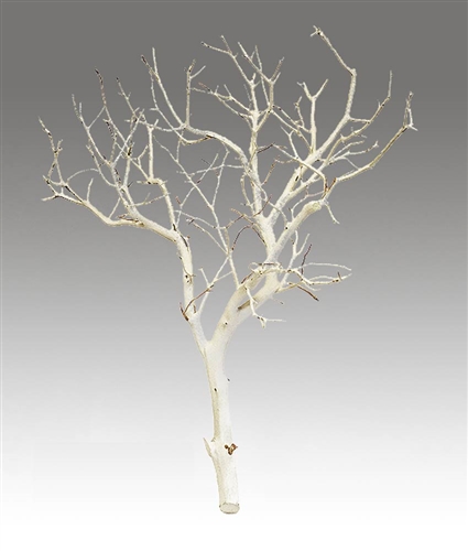 Sandblasted Manzanita Branches, 24